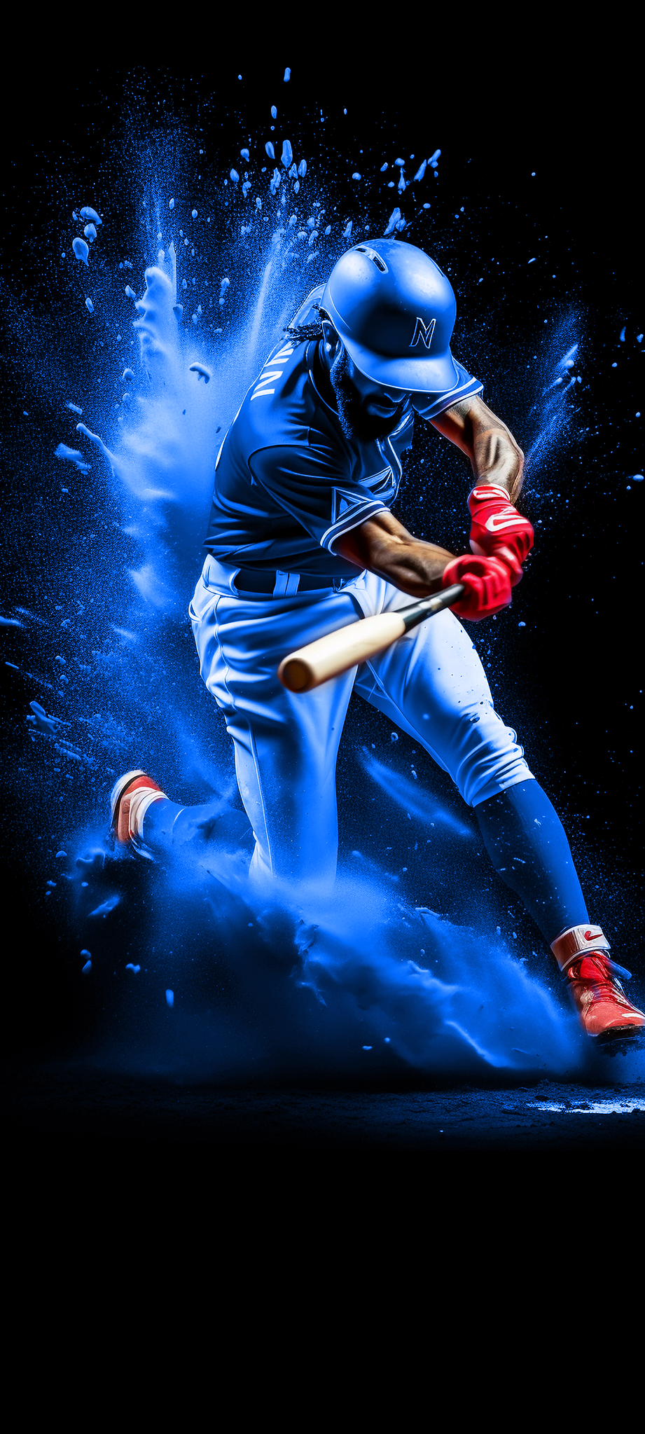 application screenshot